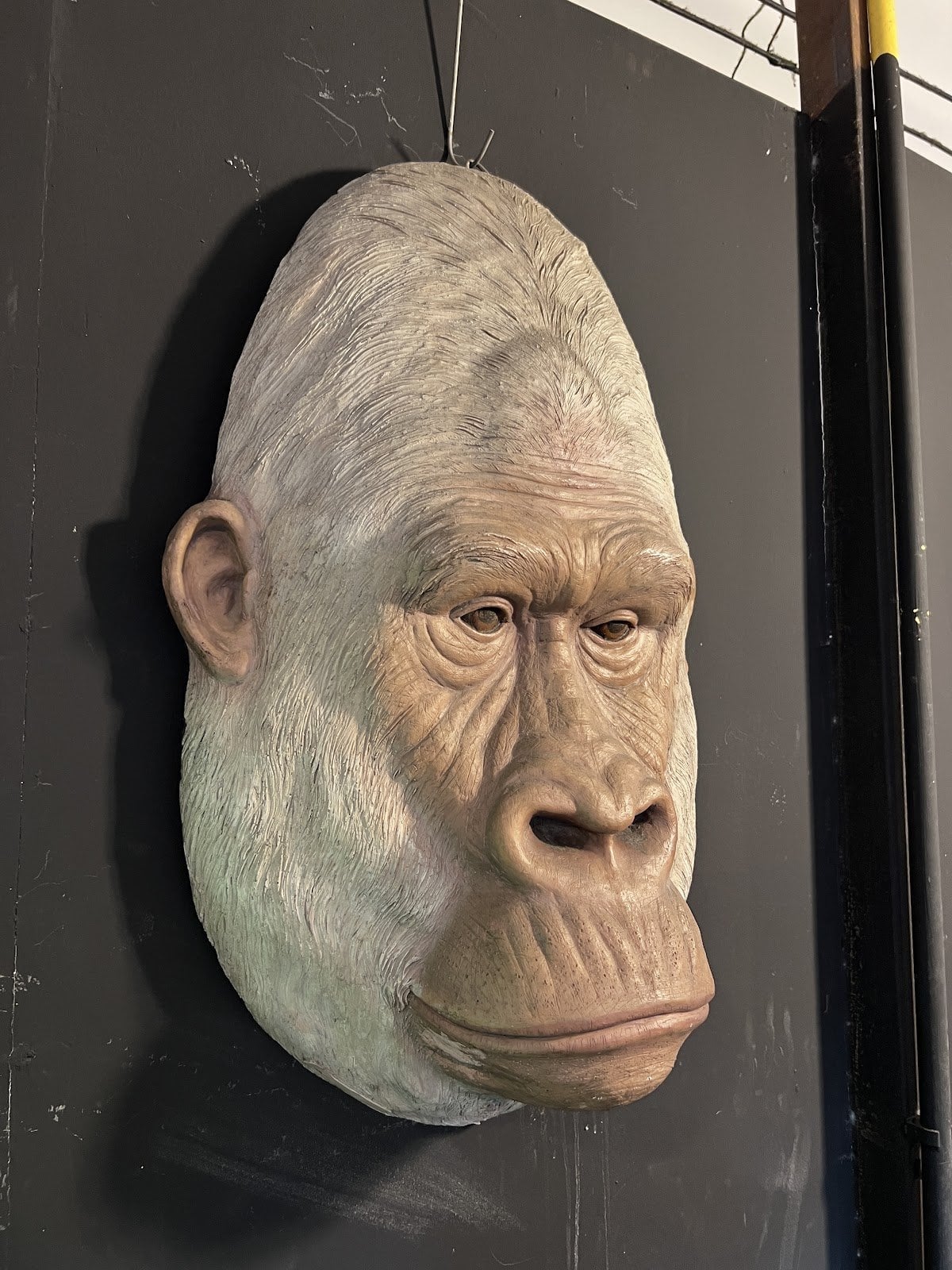 Sensimilla