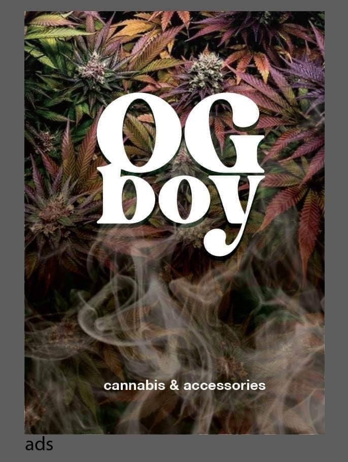 OGboy Songkhla