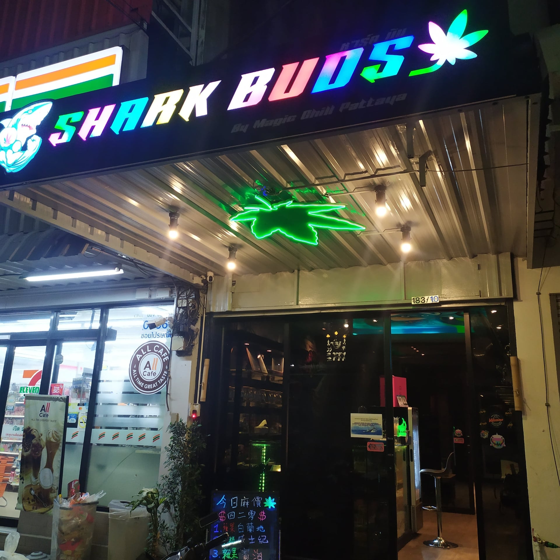 Sharkbuds