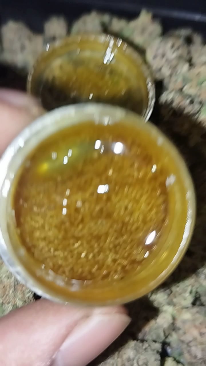 Zweed Sloth