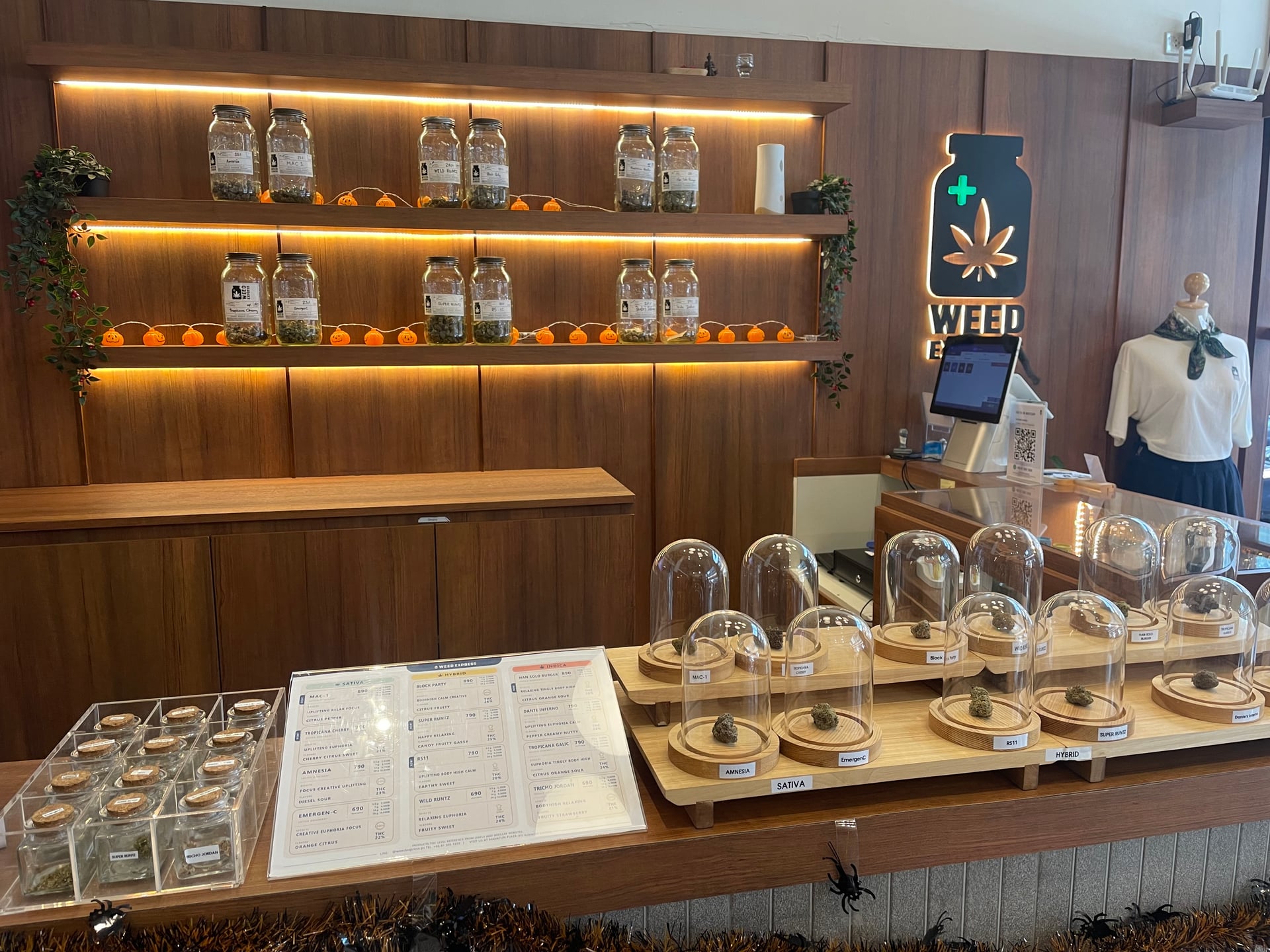 WEED Express Phloen Chit