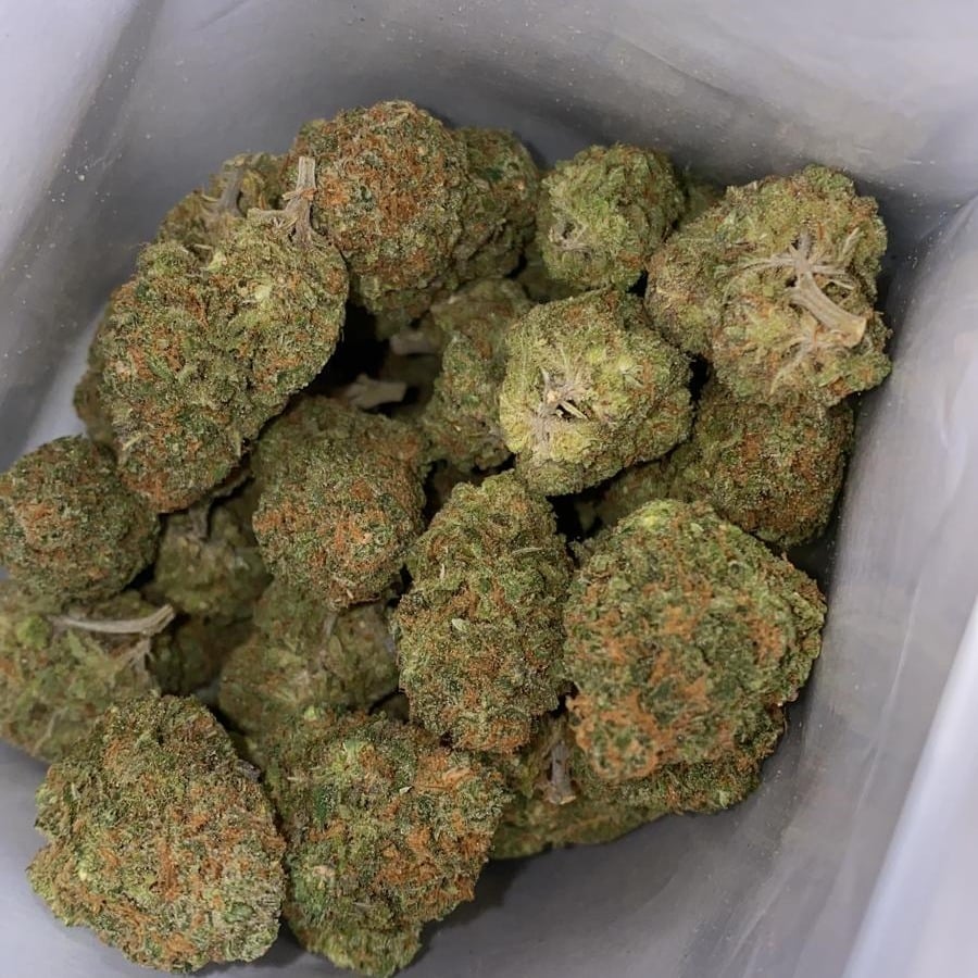 Weed
