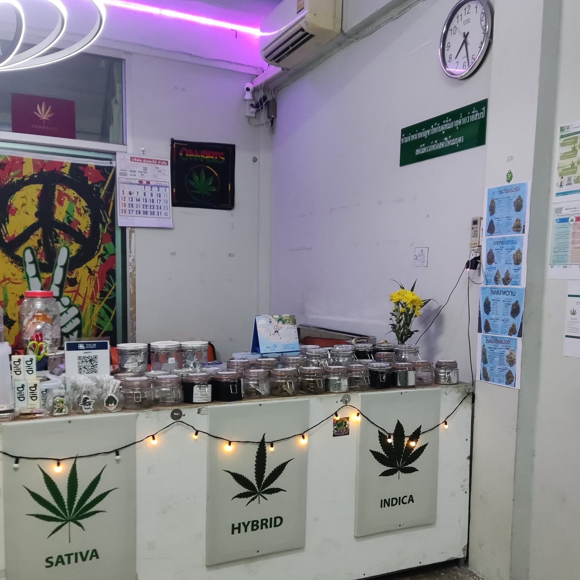 Wiz Weed