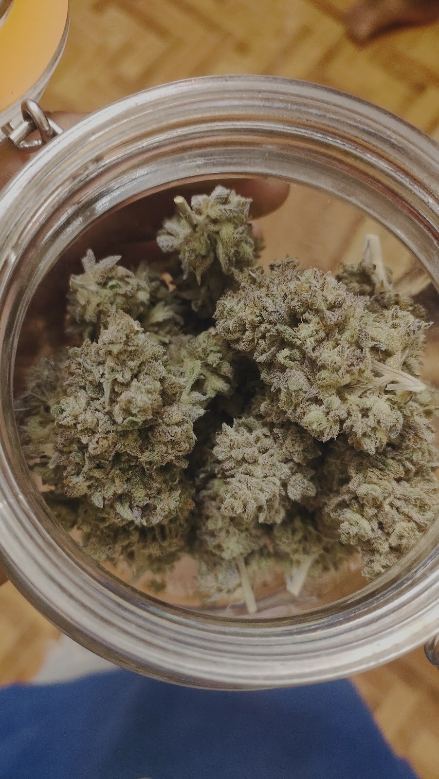 PeaceGarden 420