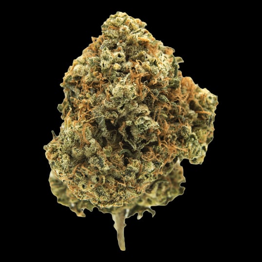 P Cannabis logo