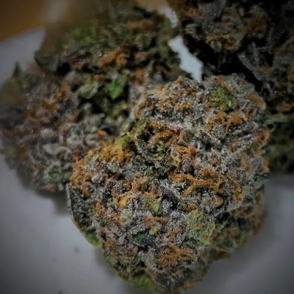 Cannabear
