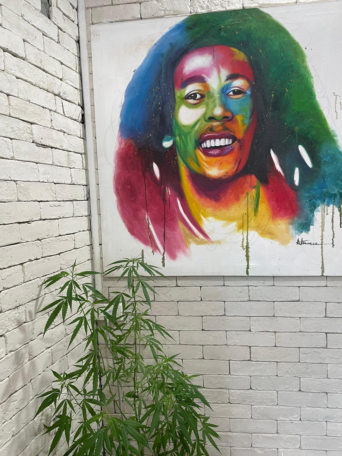 Coffee & Kush Premium Weed Phuket