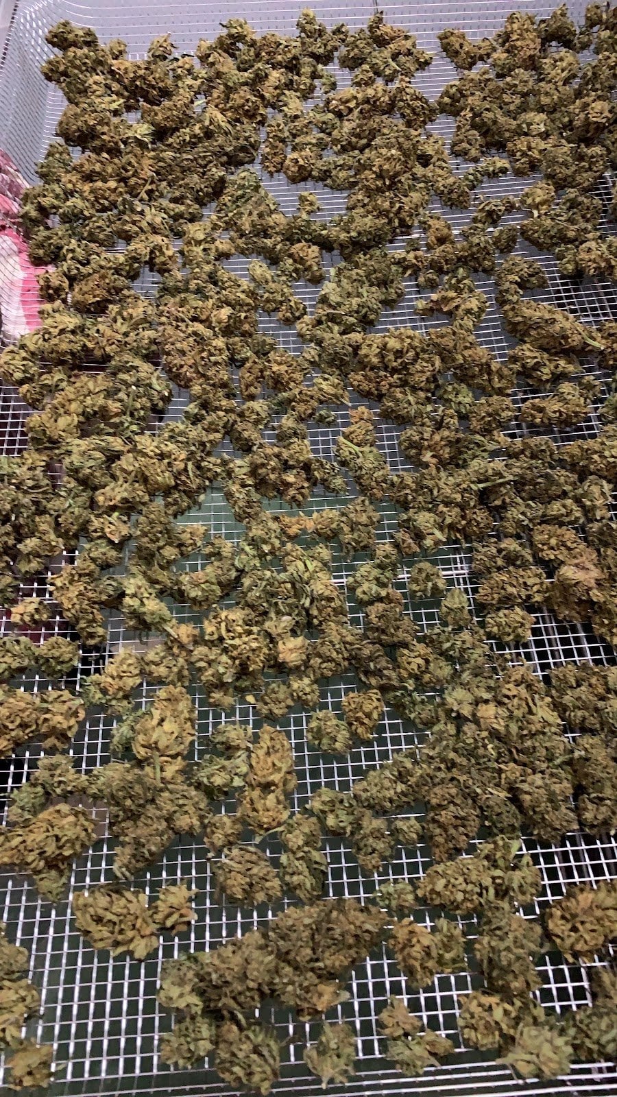 Healthy Choice Farm