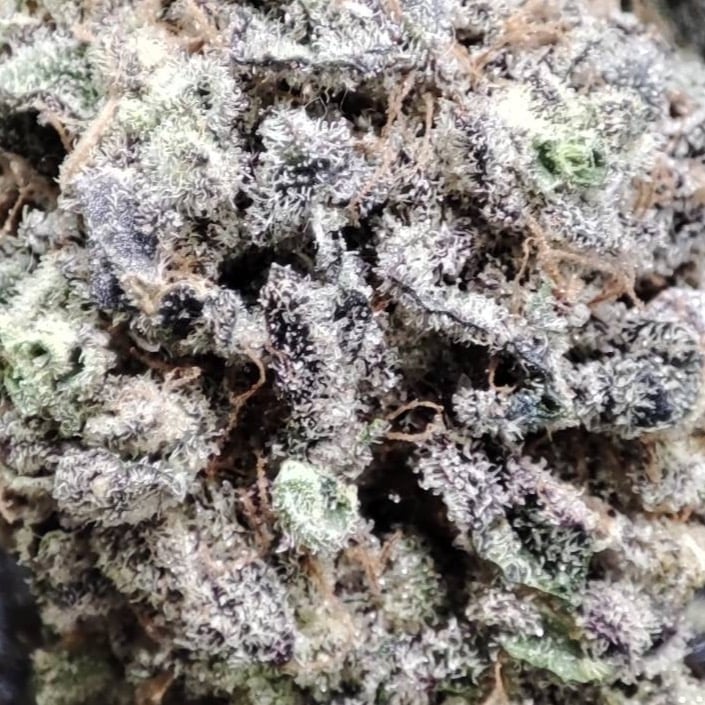 Budboy