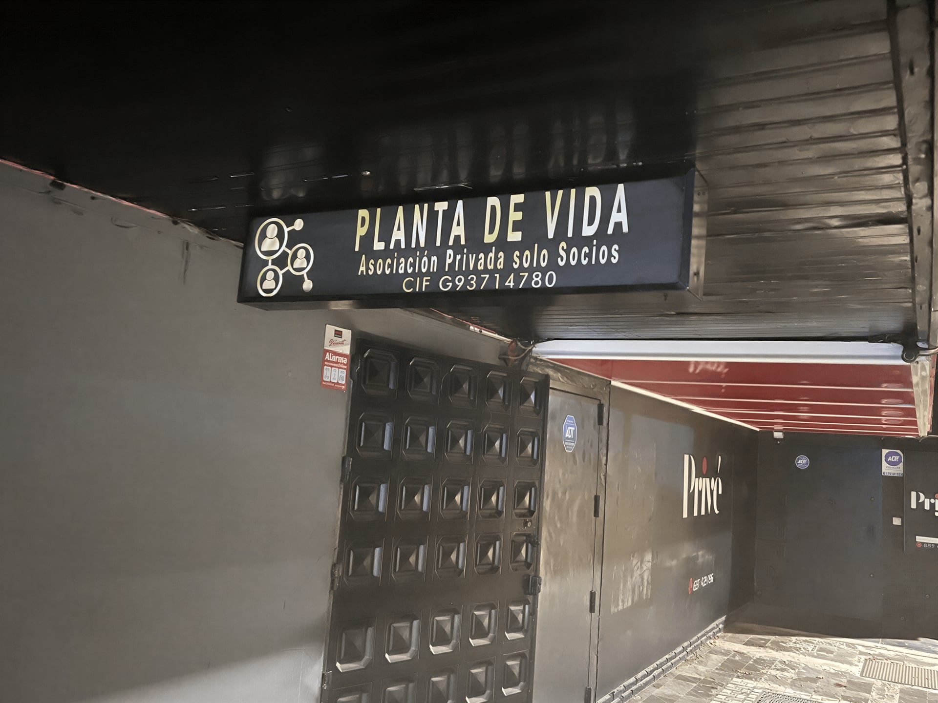 Planta de Vida