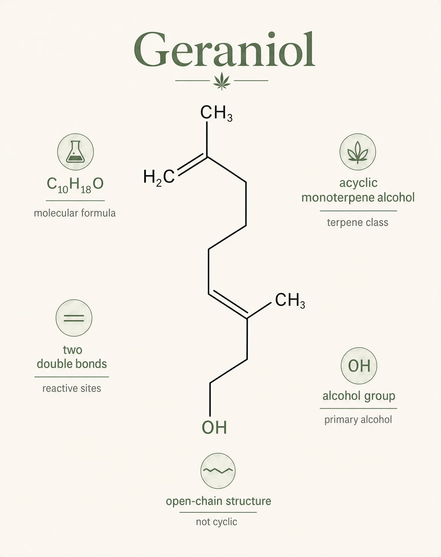 Cannabis'te Geraniol Terpeni: Etkiler ve Kanıtlar