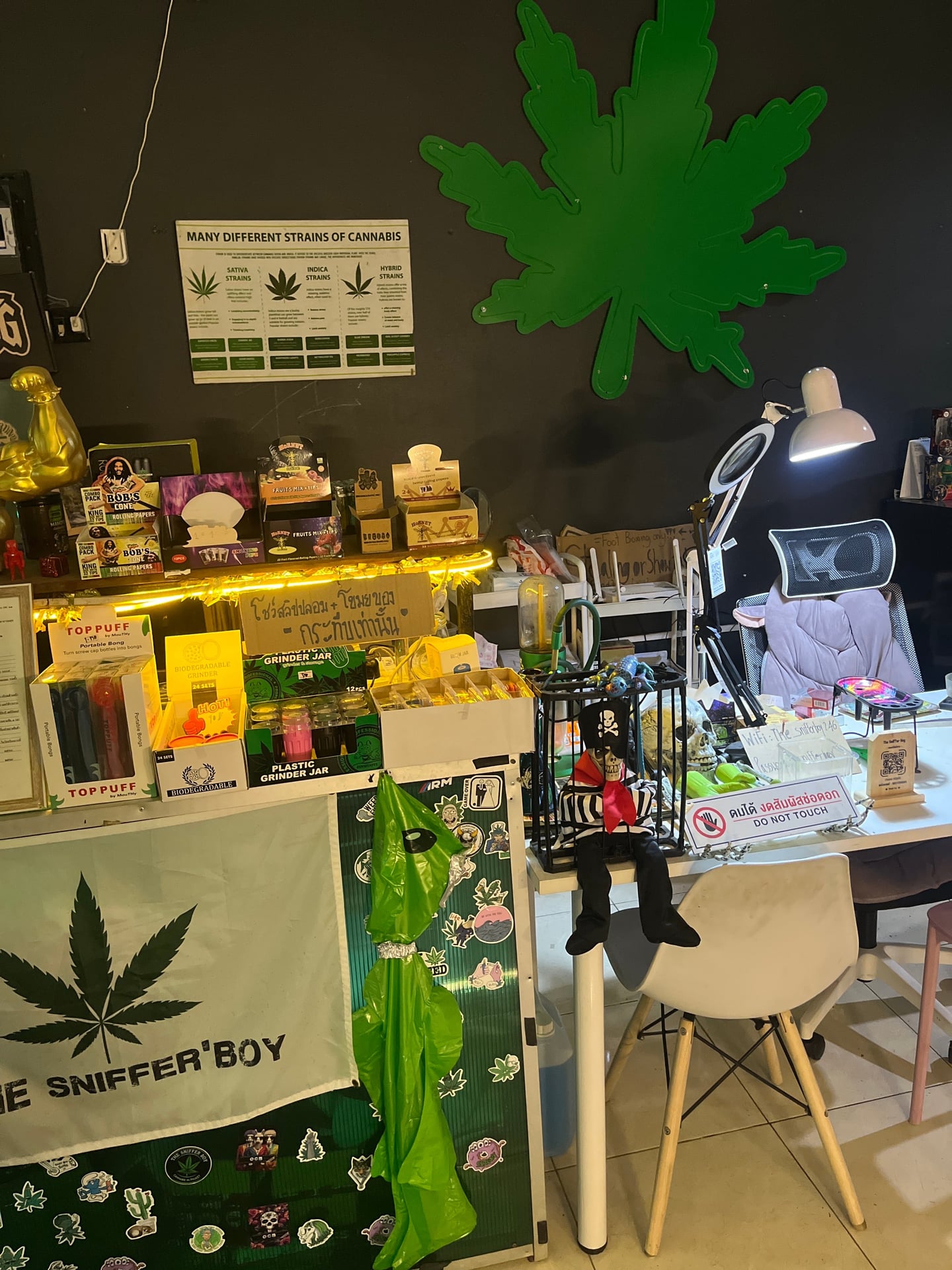 The Sniffer Boy Cannabis