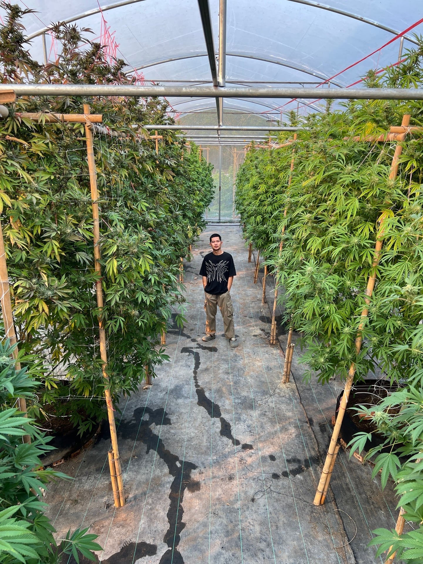Cowboy
