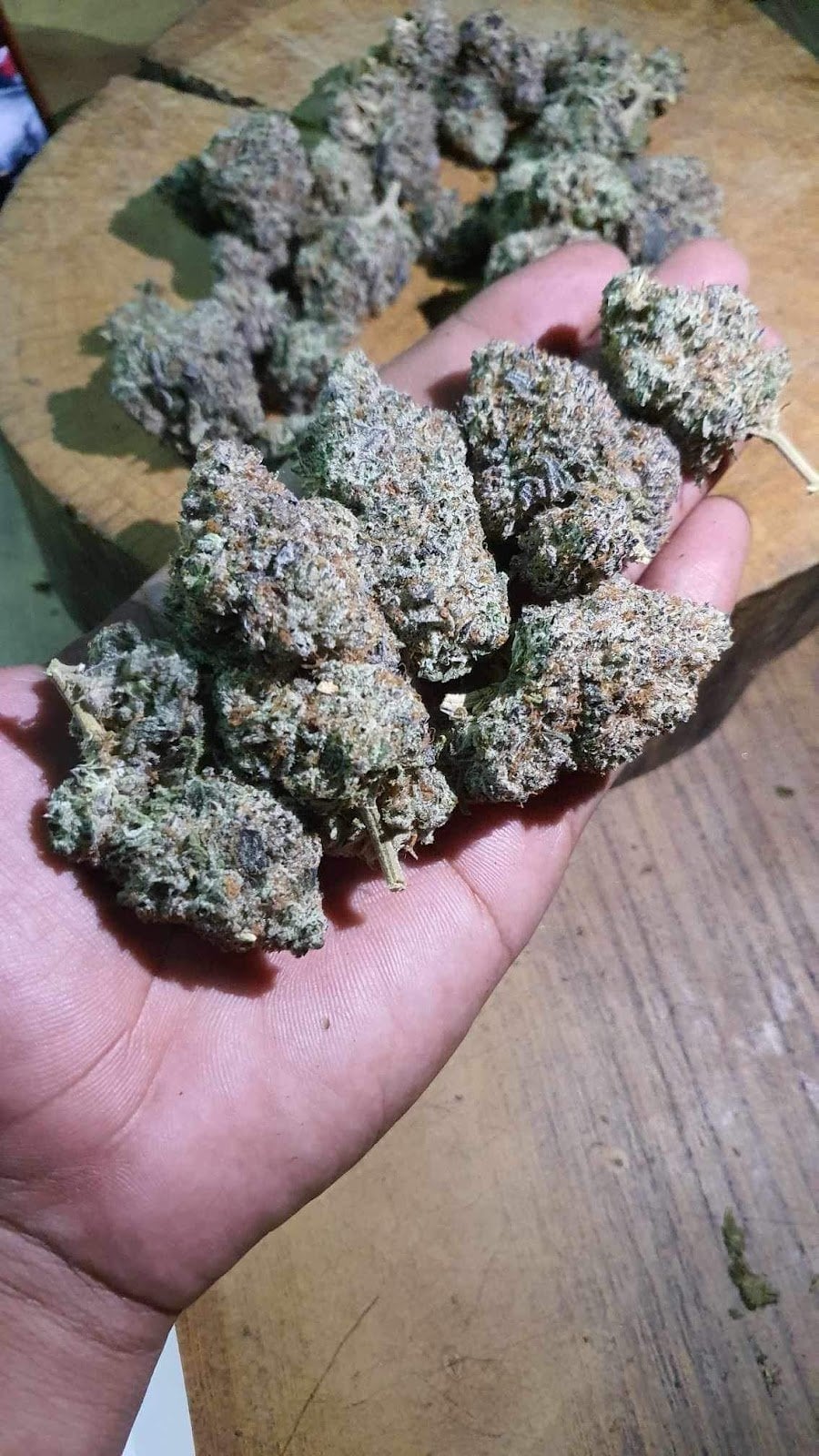 Cannabis Way