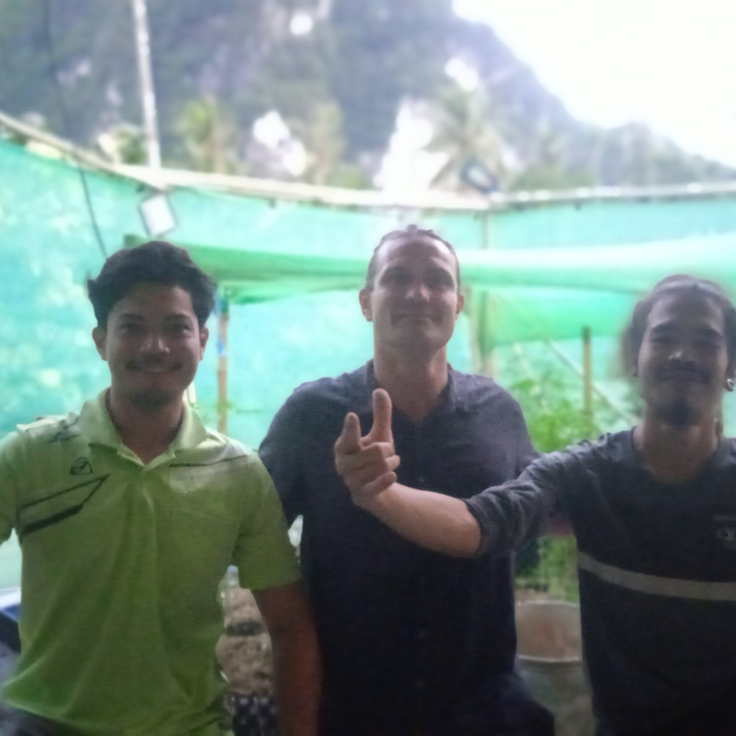 Cannabis Farm KhaoSok88