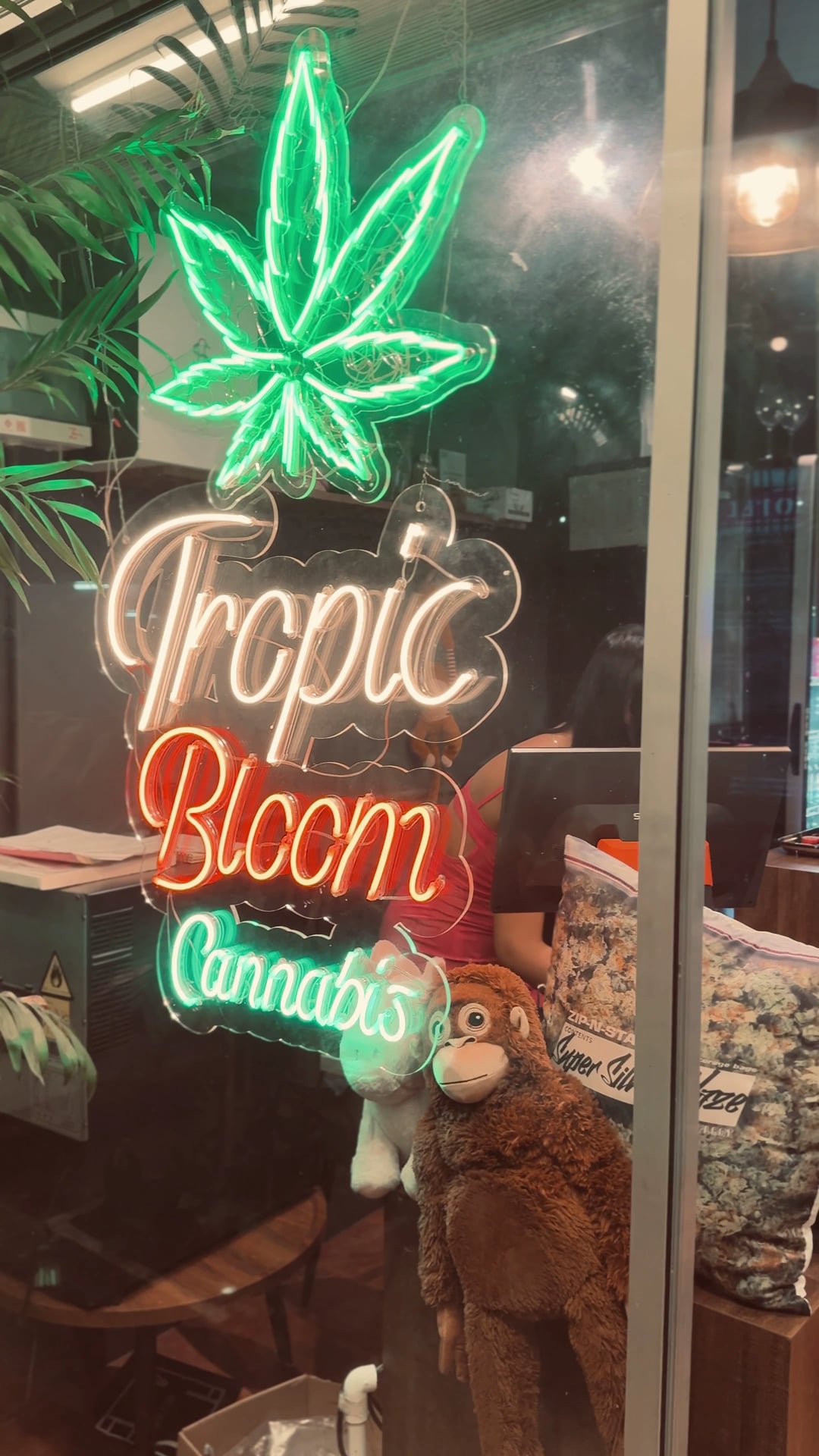 Tropic Bloom - Cannabis Weed Shop & Lounge