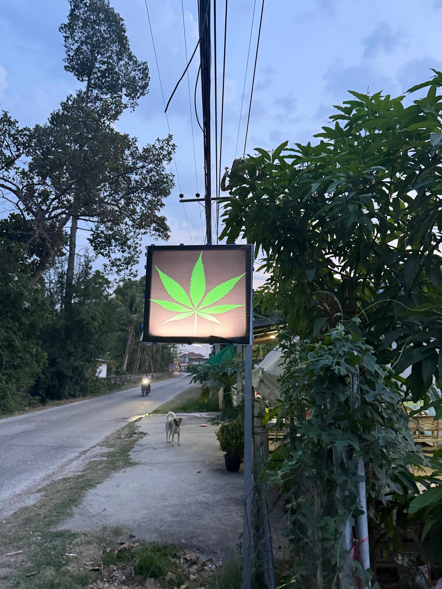 M & O Organic