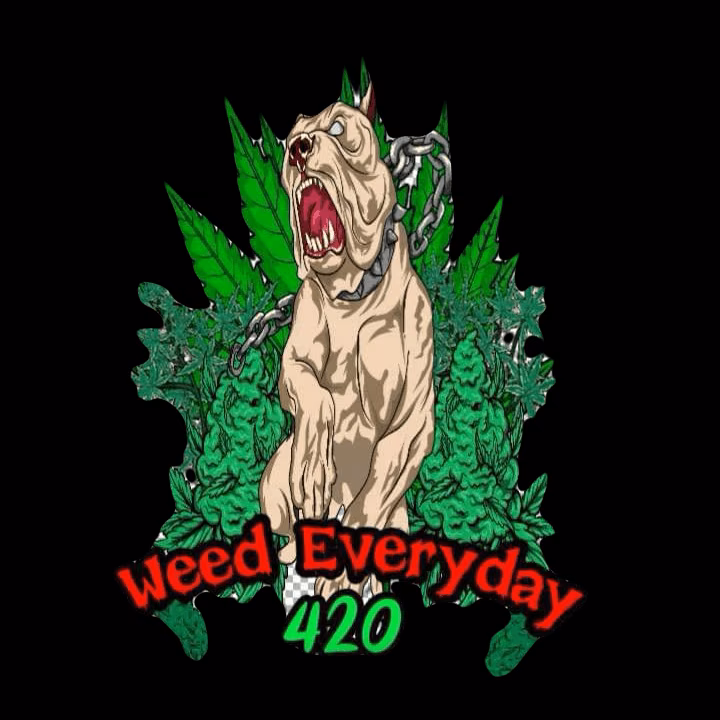 कैनबिस सोशल क्लब Weed EveryDay लोगो