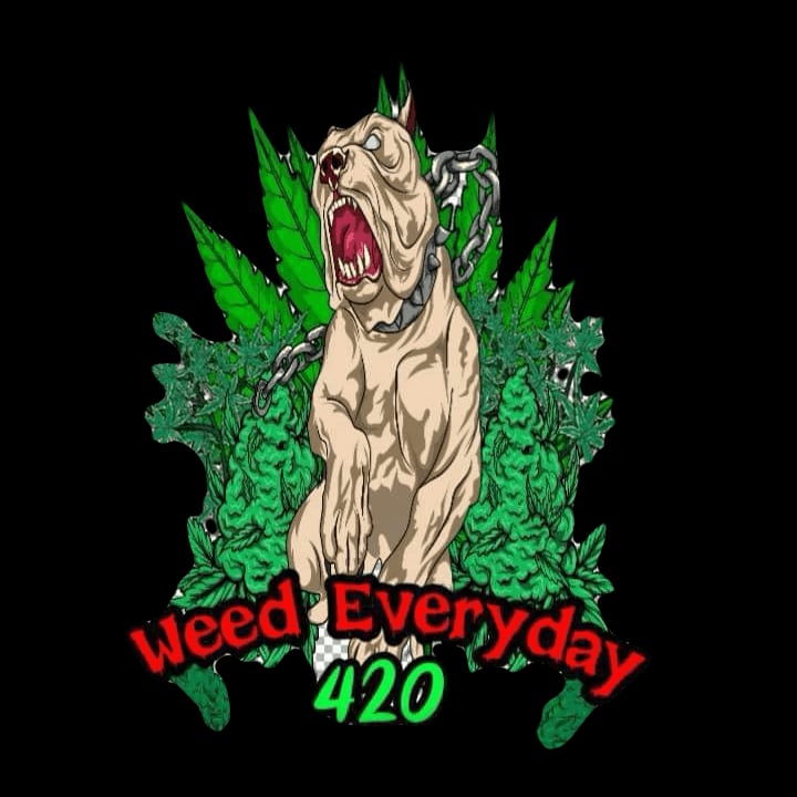 Weed EveryDay logo