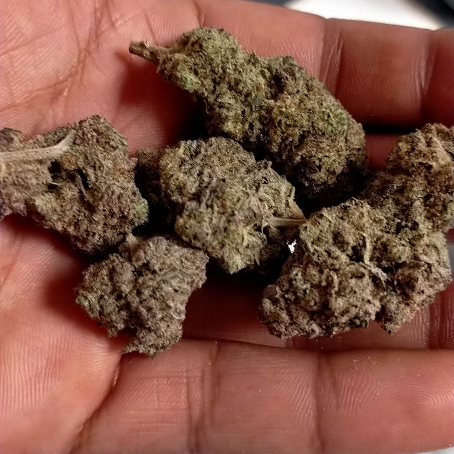 Home Weed Cannabis