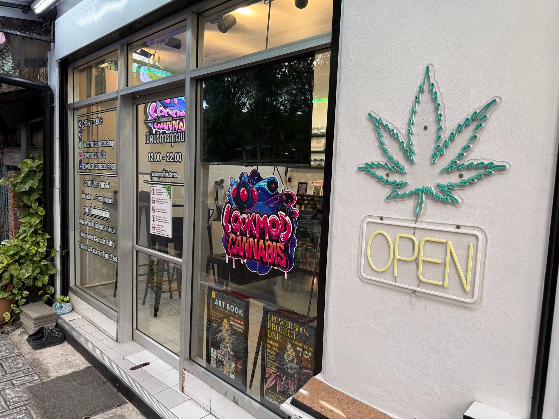 Lookmod Cannabis Shop Phuket