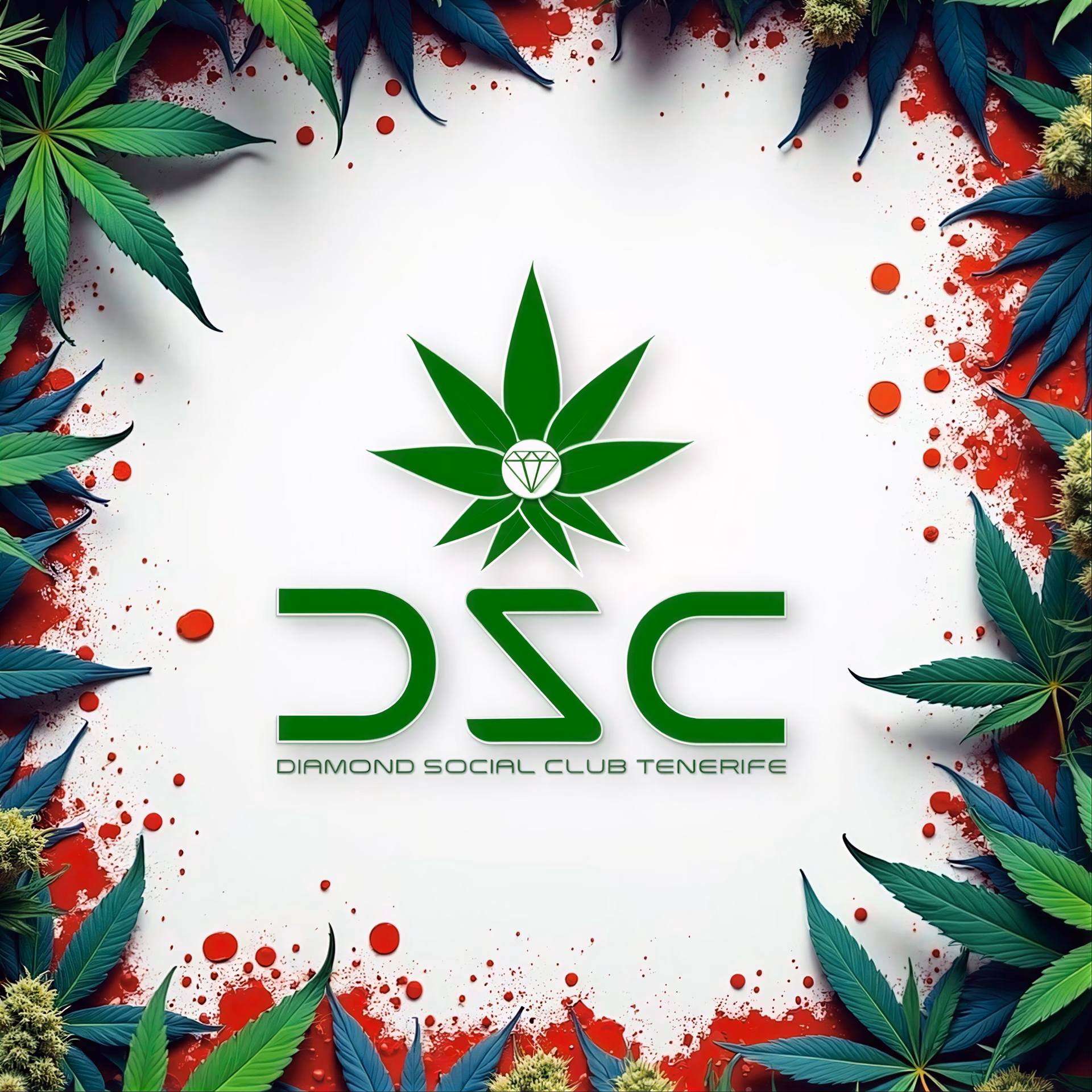 Playa de las Américas – Cannabis Social Club Diamond Social Club logó