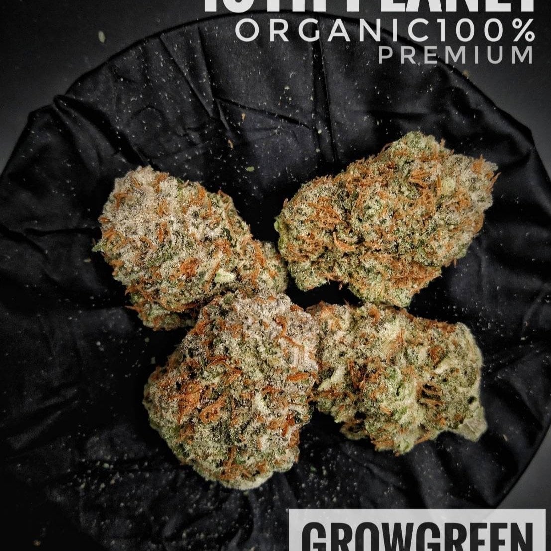 GrowGreenthailand