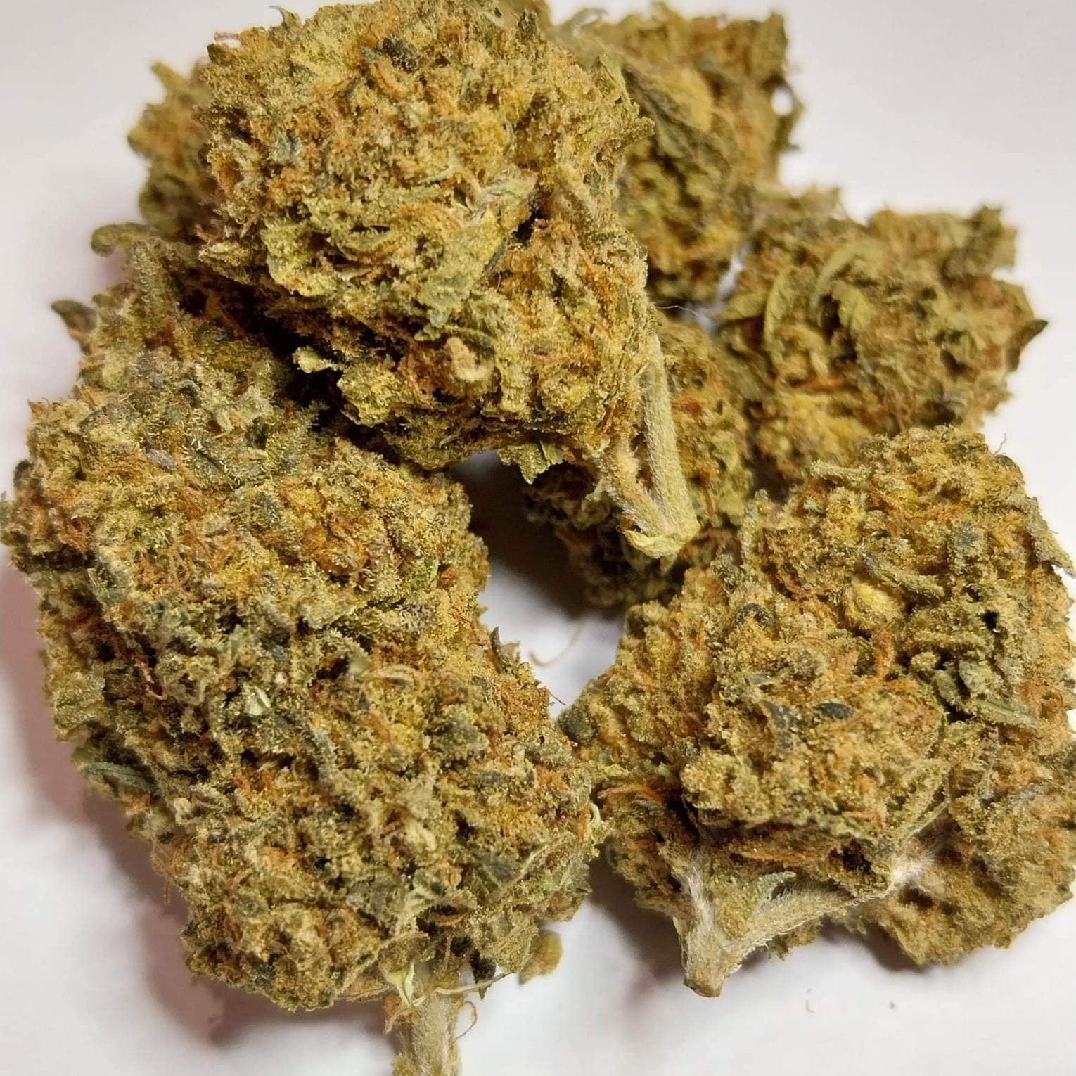 Kush Paradise