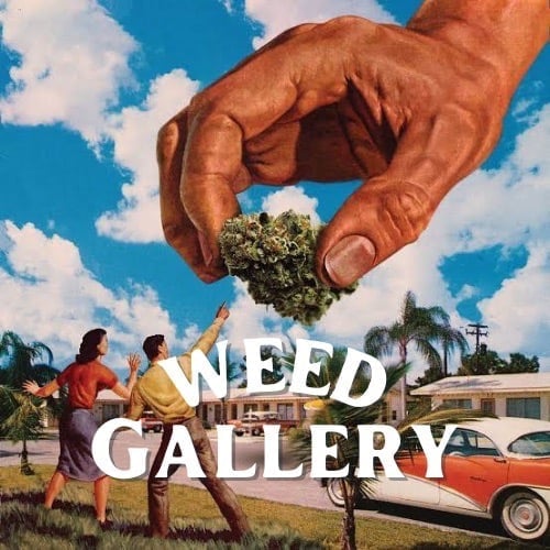 Weed Gallery