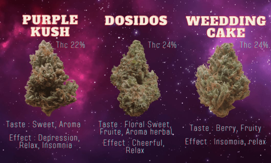 Cannabis Delivery Weed Delivery Bangkok