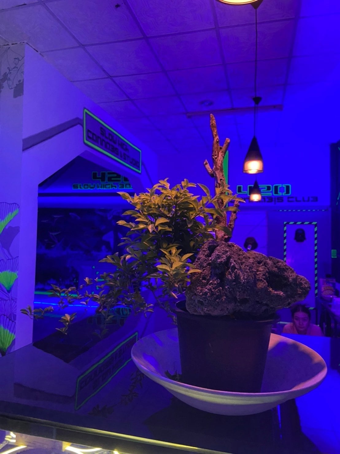 Slow HIGh Cannabis & Studio