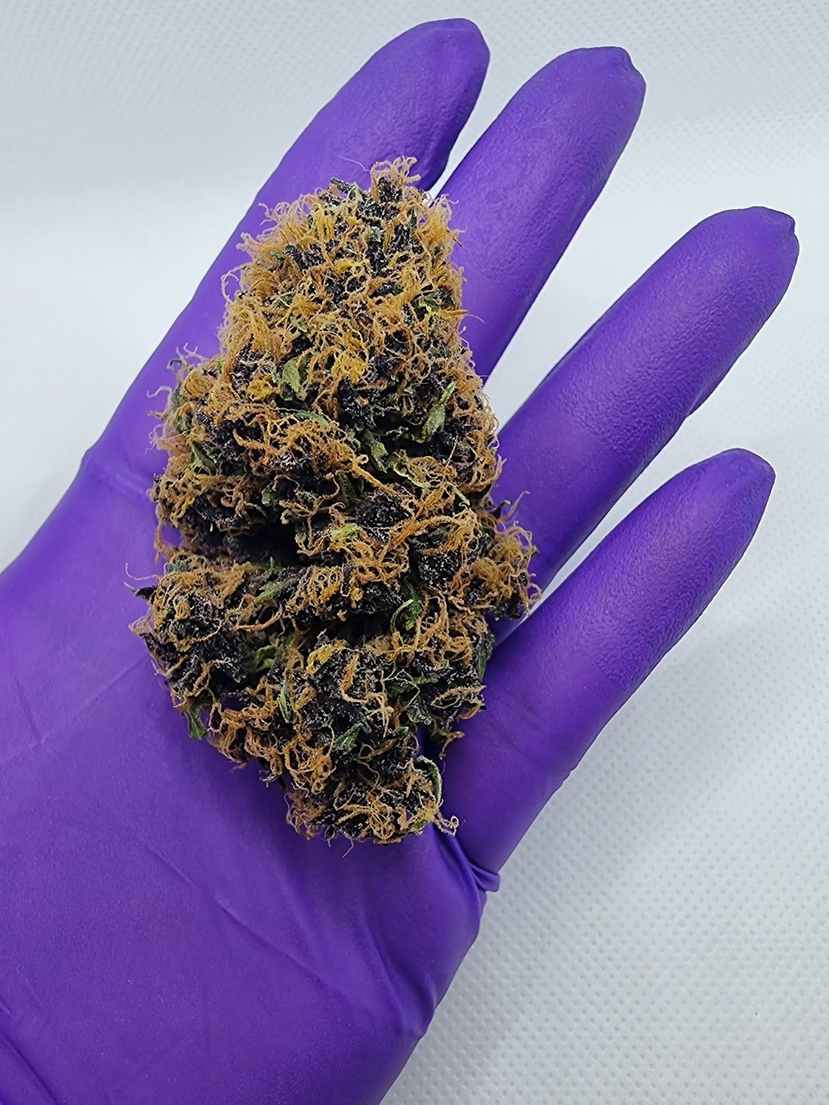 BudsMaid