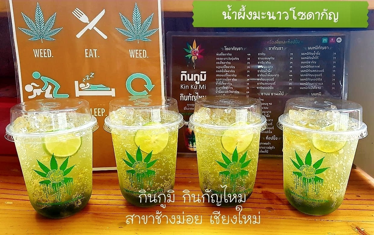 Kinkumi Cannabis