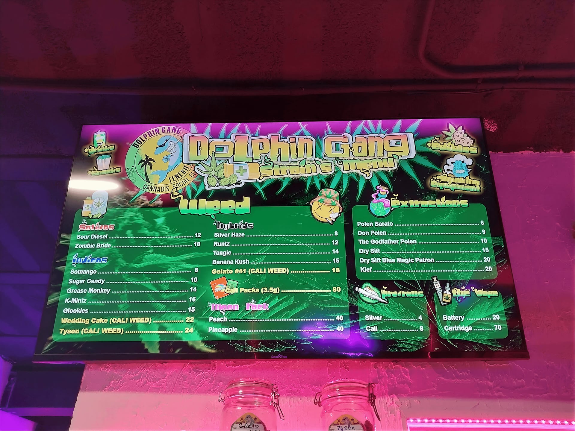 Dolphin Gang Social Club