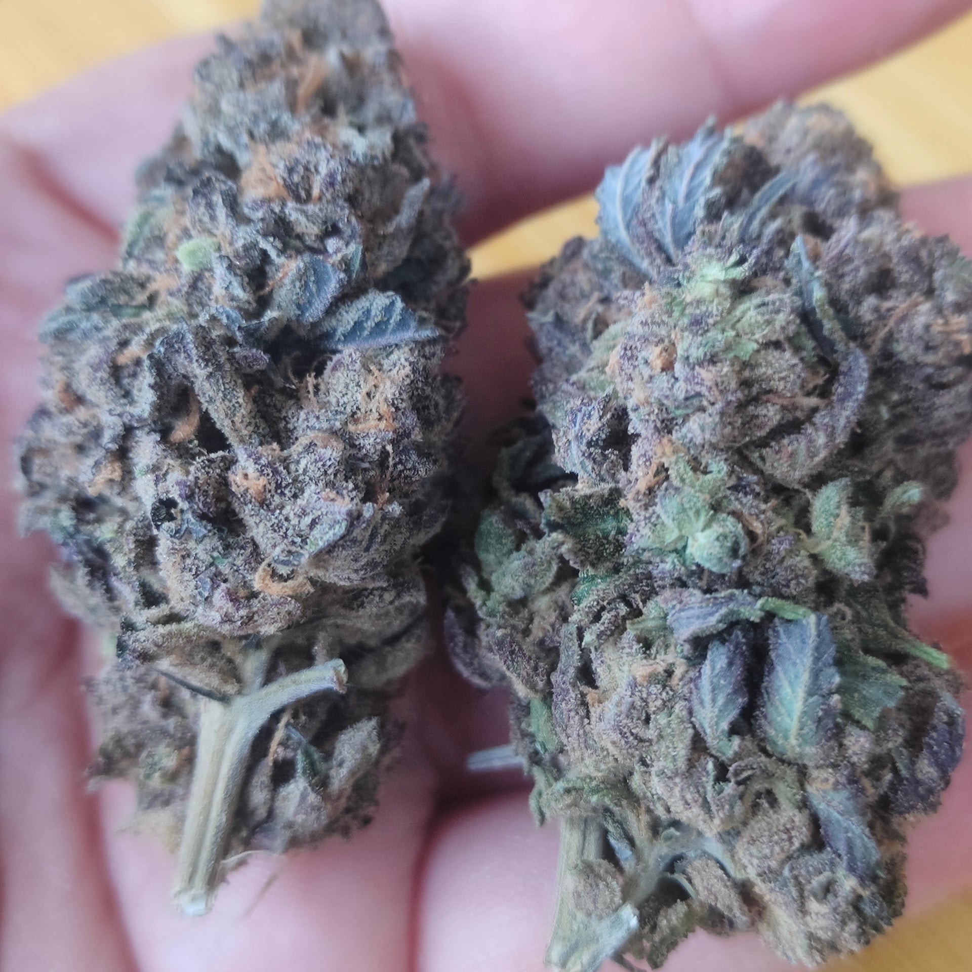 Rolling High Cannabis
