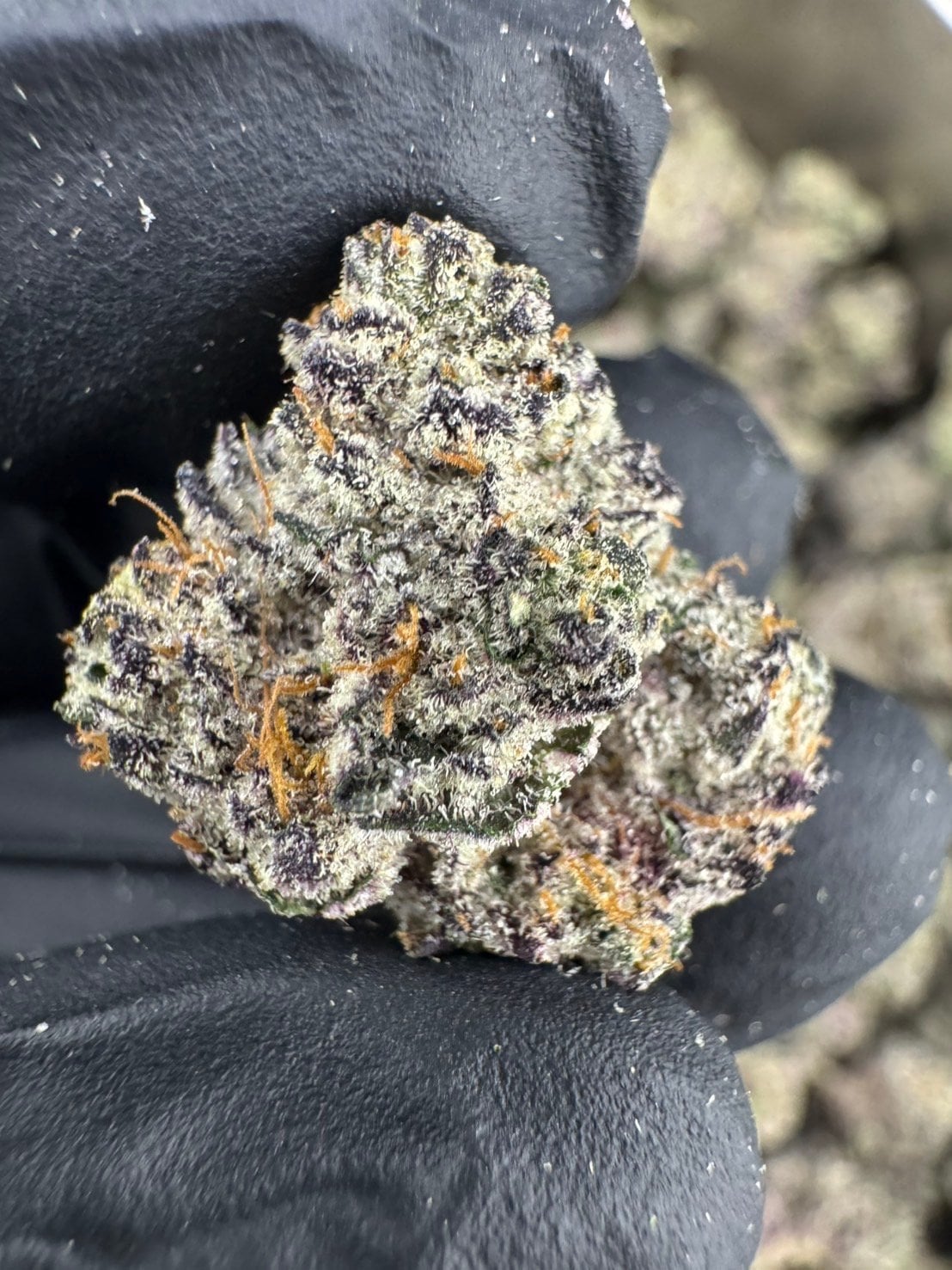 Cheap Weed Pattaya