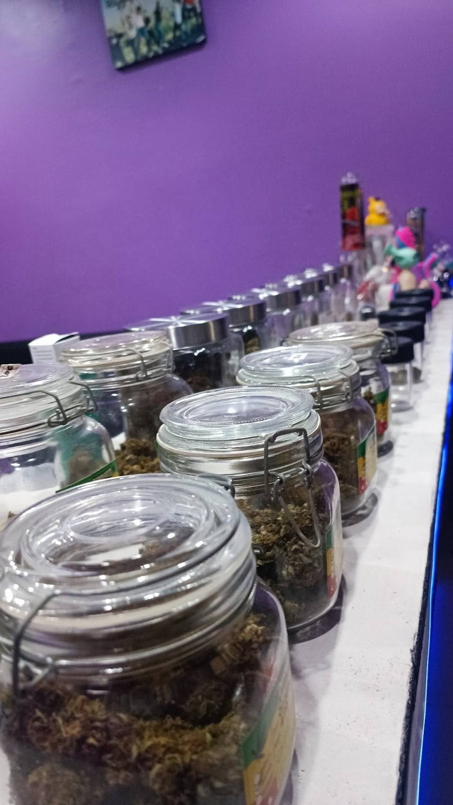 95CannabisCafe