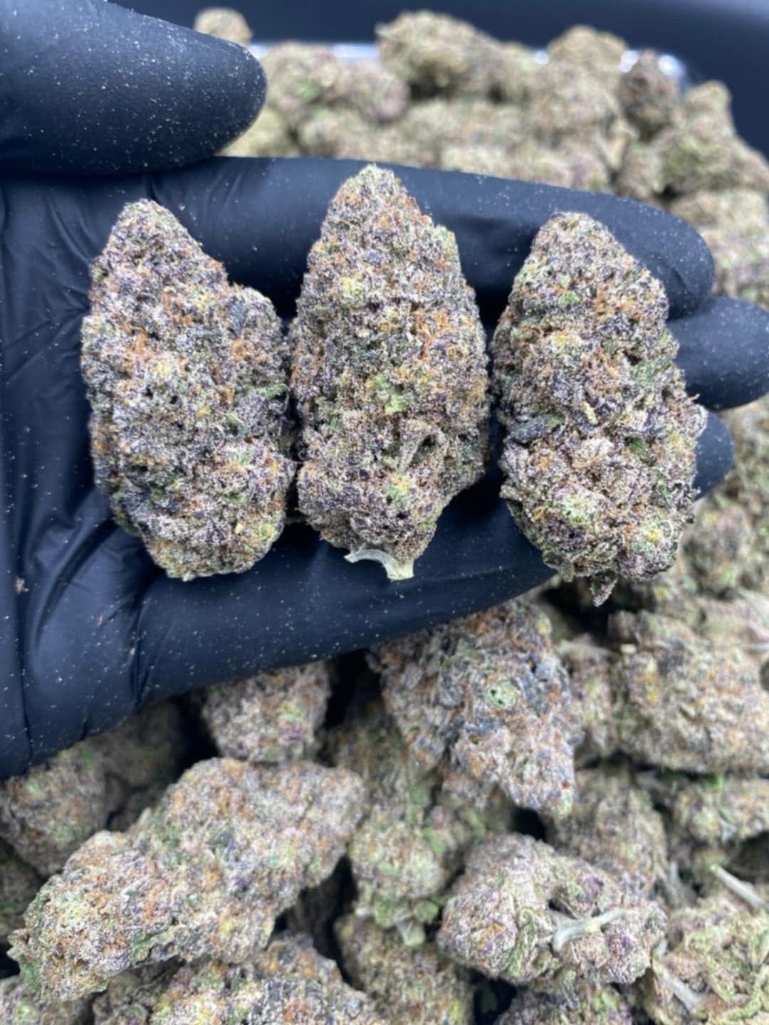 Exotic420 By
