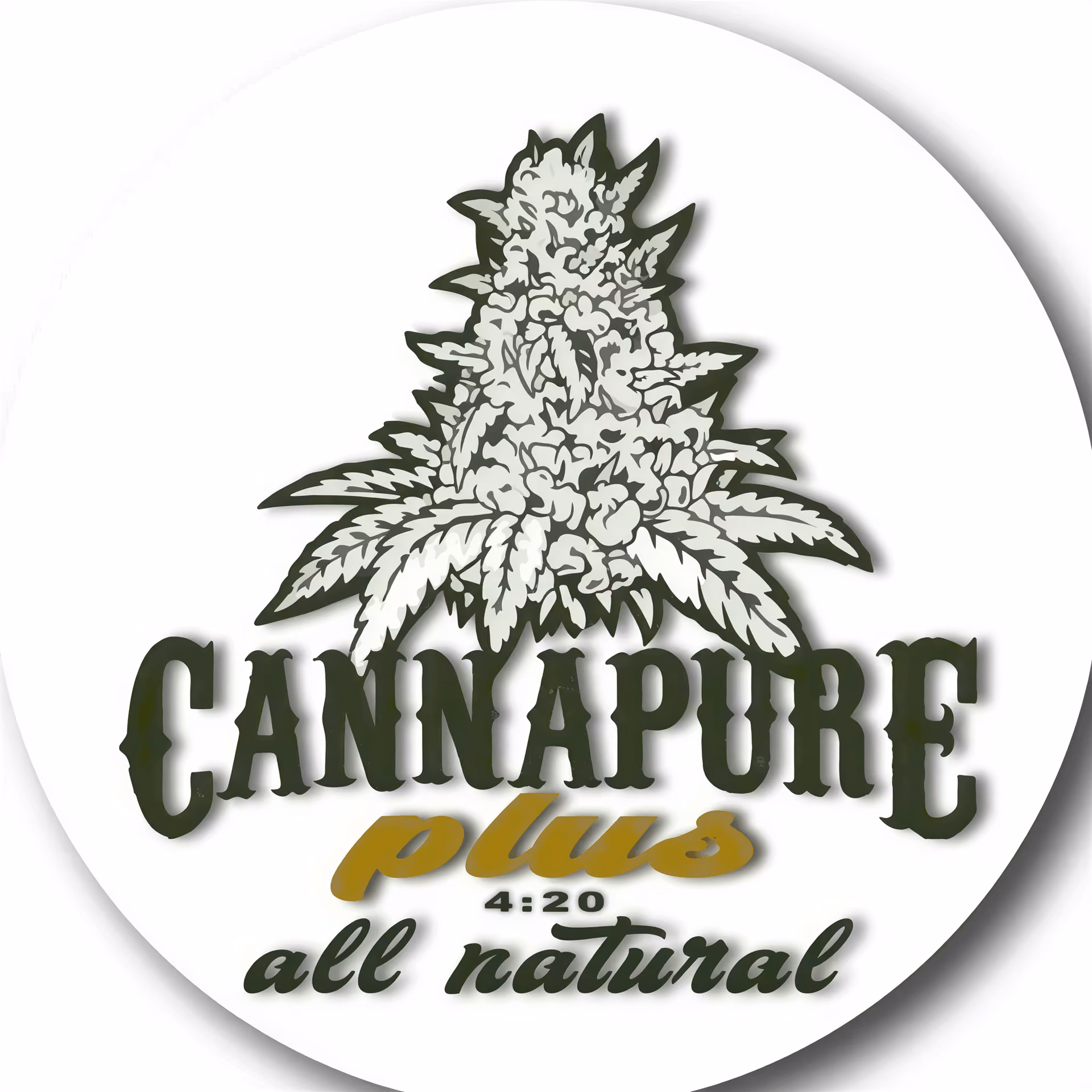 Cannapure Plus