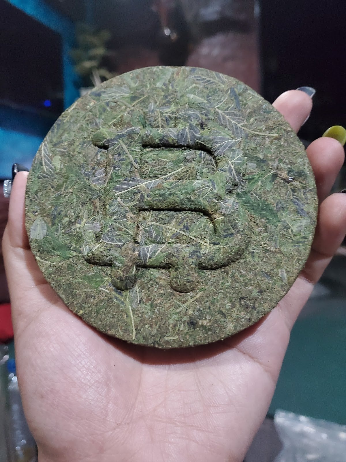 Mexico Cannabis Dong