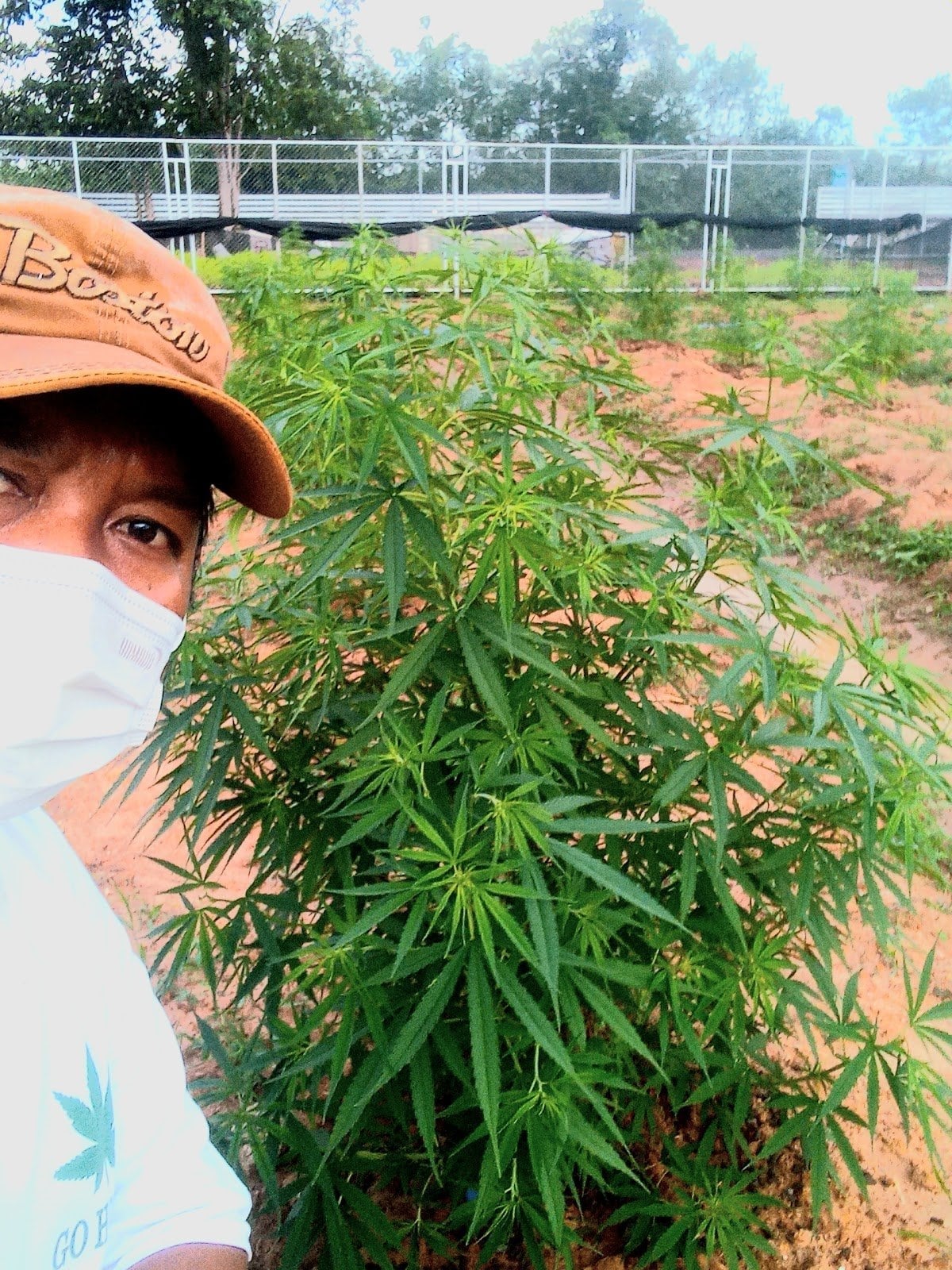 Kayya Farm