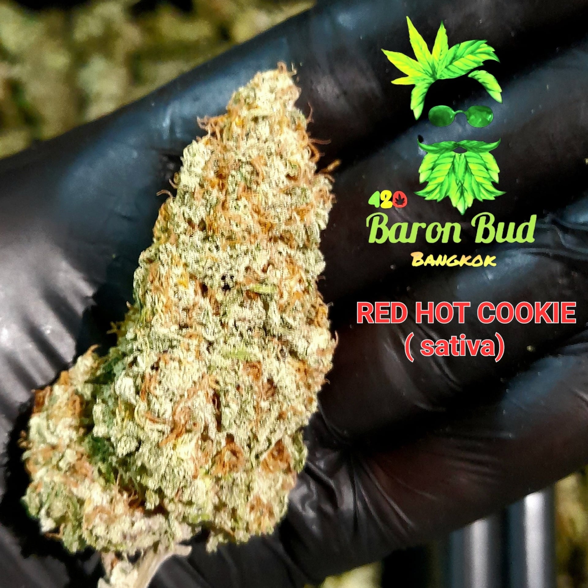 Baron Bud Weed
