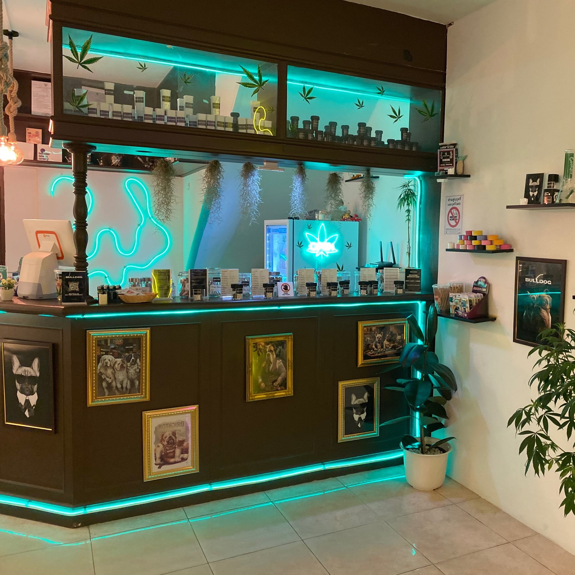 Bulldog Cannabis