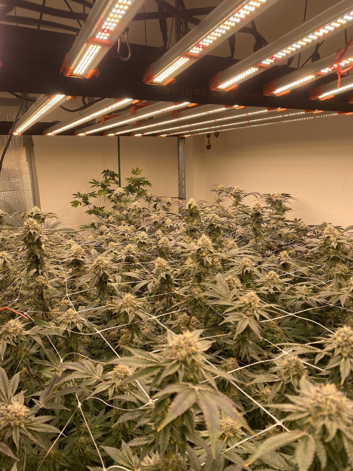 BT420 Farm