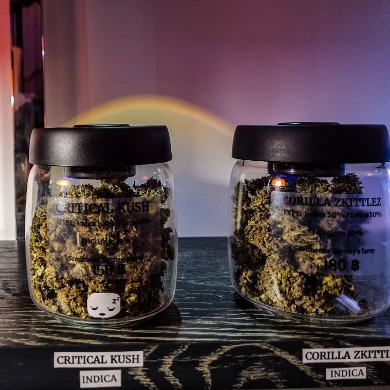 Stargazers Coffee Shop & Cannabis Farm
