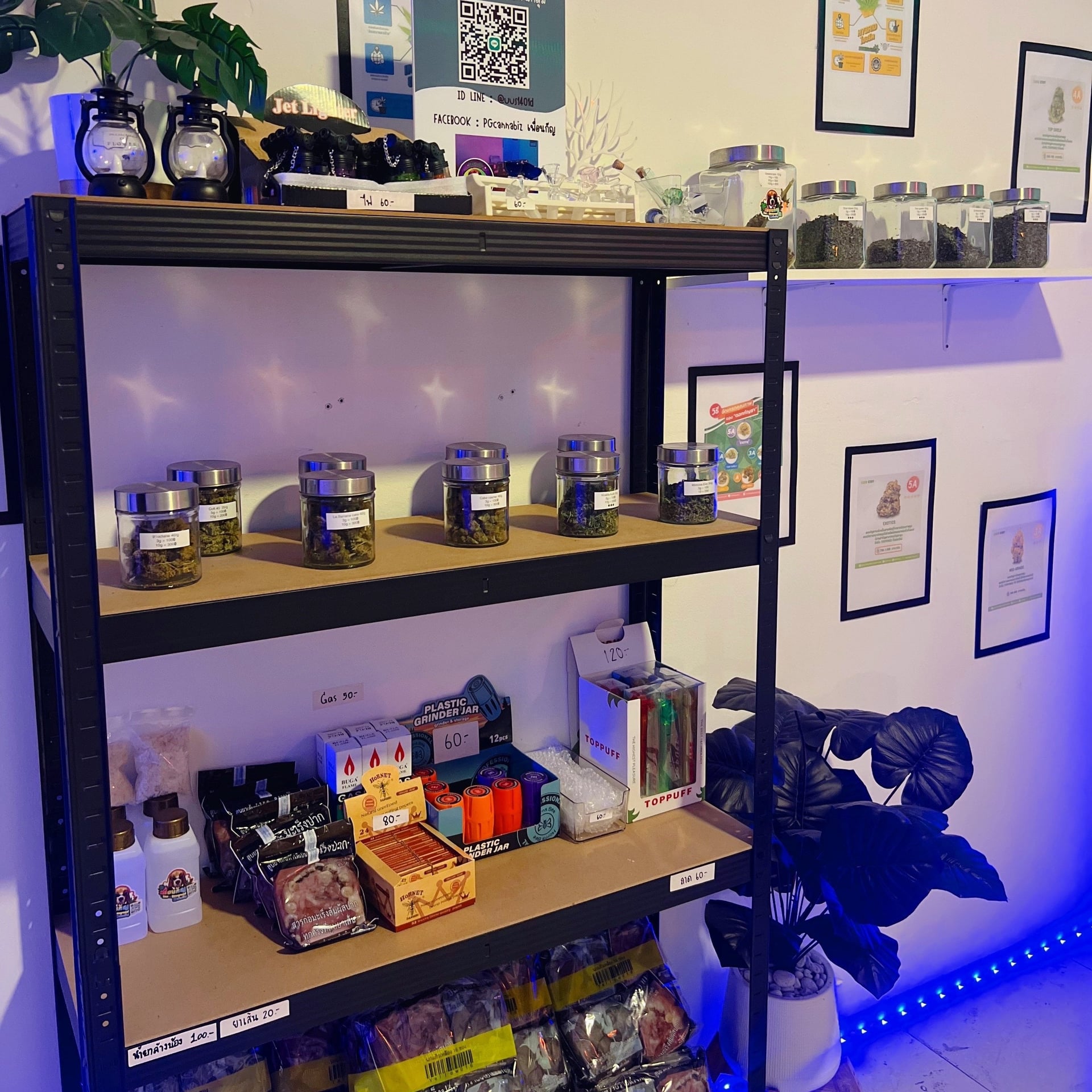 PGcannabiz