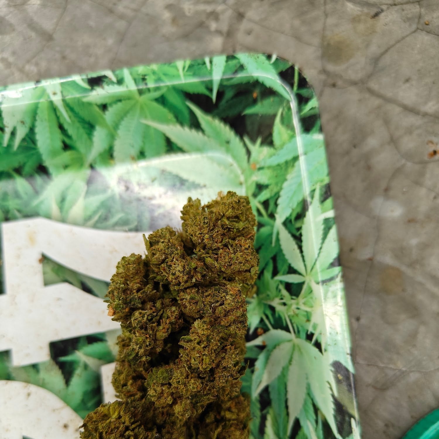 SKP Cannabis 2 - Weed Dispensary Chiang Mai