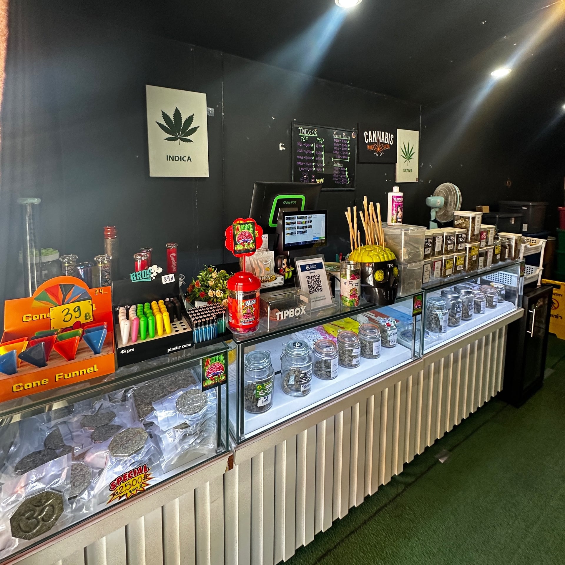 Iq Tr Cannabis Sativa L