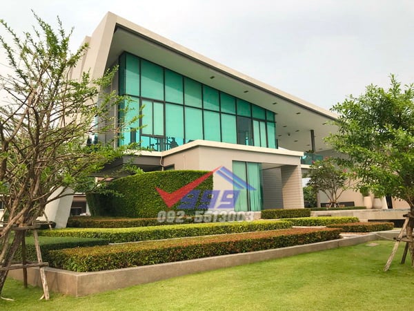 Caligradehigh