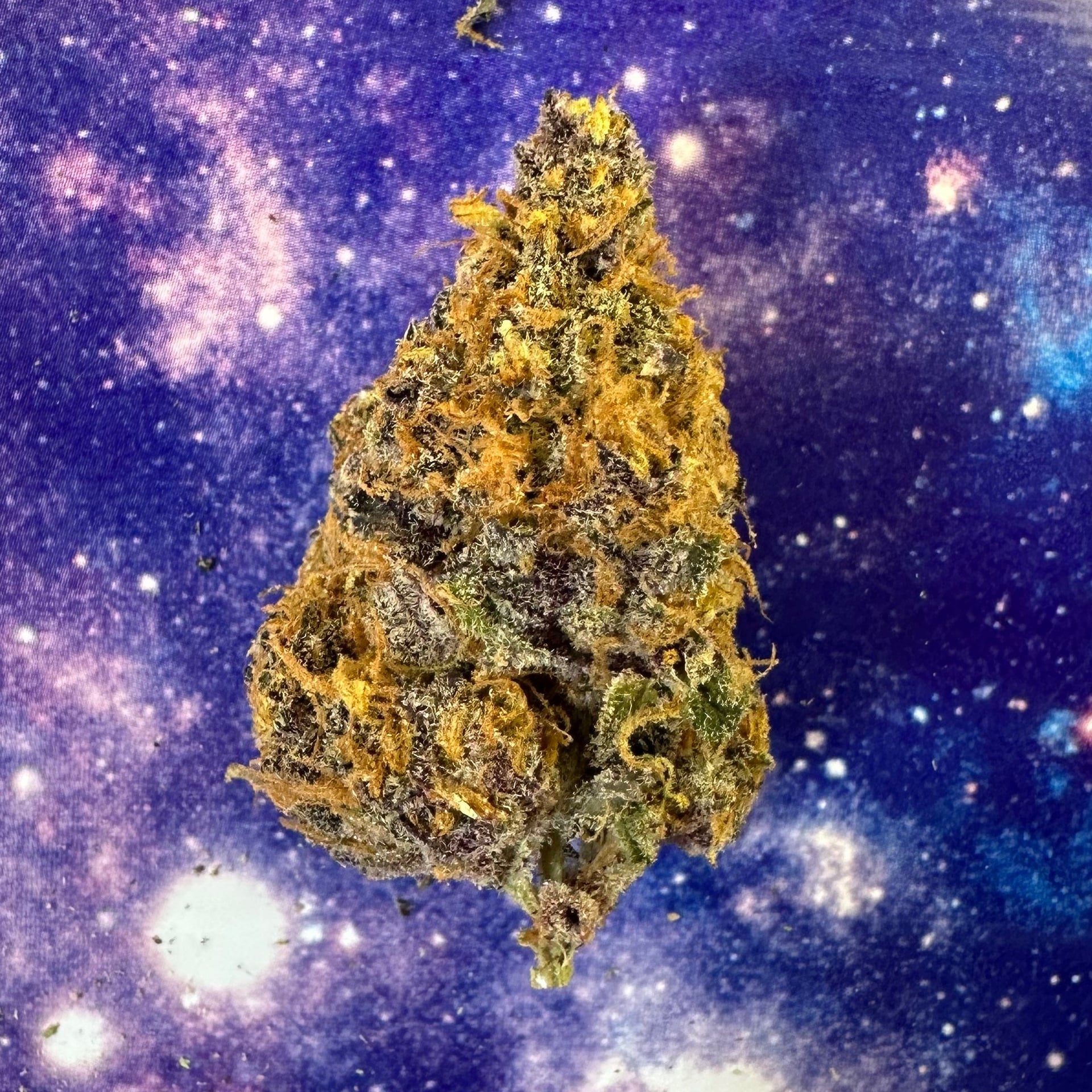 Wonderfarm Cannabis